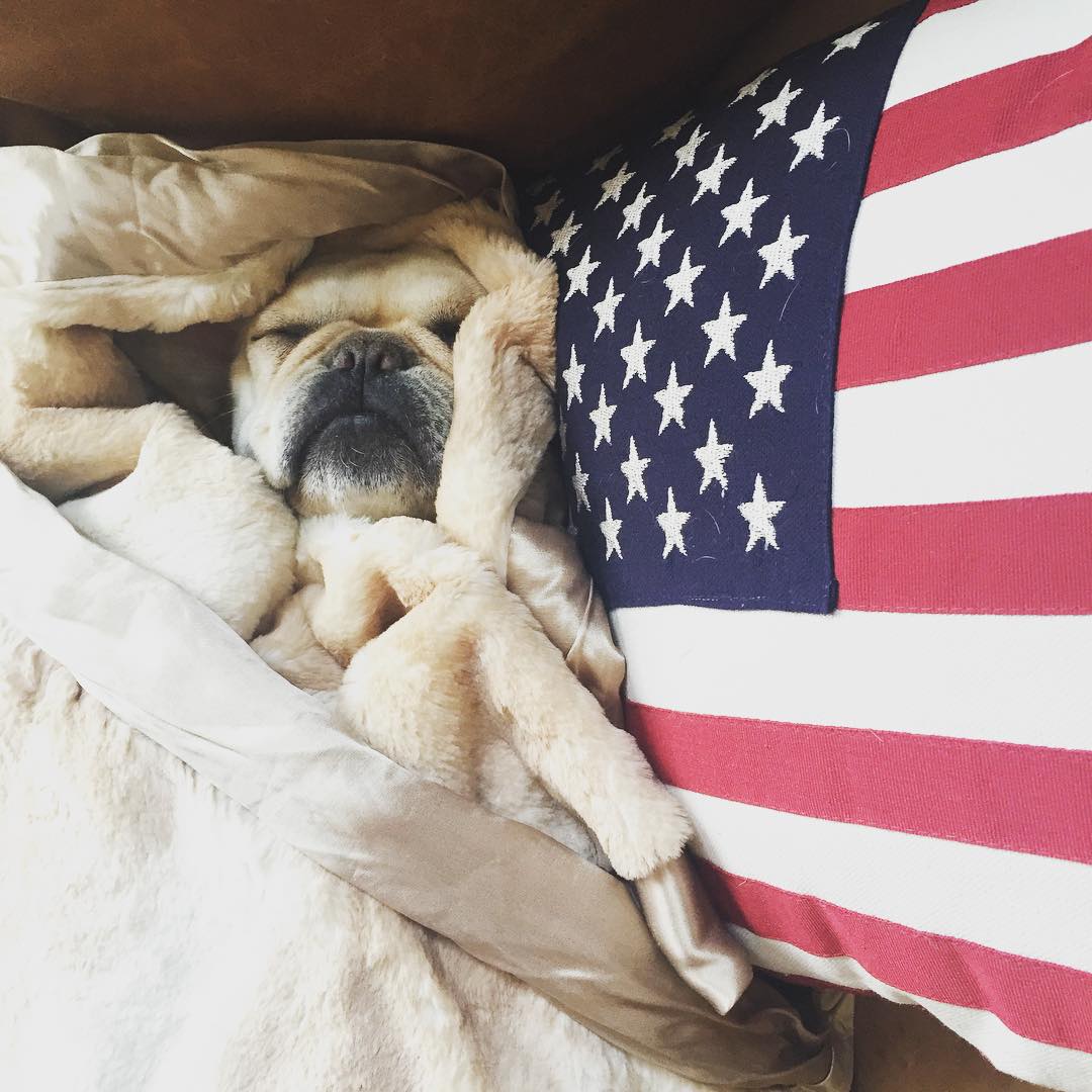 0169.jpg